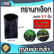 ถุงเพาะกล้า ขนาด 3x7 ตรานกเงือก มีให้เลือก 100กรัม ถึง 30กิโลกรัม ถุงเพาะชำ ถุงชำ ถุงเพาะปลูก ถุงปลู