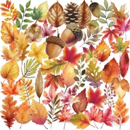 50Pcs/Set ✿ Autumn Forest Series 02 PET Stickers ✿ Waterproof DIY Fashion Kids Rewards Stickers