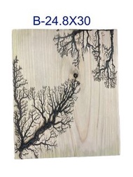 鹿角蕨上板板材/木板 日本檜木24.8x30 純手工製作每張帶有不同花紋樣式