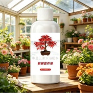 Tool Tree Dedicated Nutrition Liquid Red Maple Color-Enhancing Strong Root Anti-Yellow Leaf Coke Tip