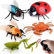 Tik Snake Style Infrared Sound New Strange Remote Control Remote Control Simulation Animal Toy Cater