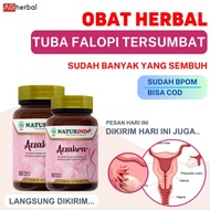 Obat Herbal Tuba Falopi Tersumbat Ampuh Penyumbatan Saluran Tuba Murah