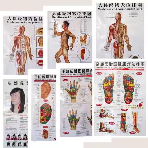 7pcs/set Acupuncture Massage Point Map Chinese&English Meridian Acupressure Points Posters Chart Wal