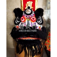 FOSHAN Lion Dance Set Traditional Costume Performance Training