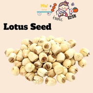 Fujian Lotus Seed / 福建白莲子 100g, 500g