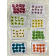 12Pcs dried pressed flower Dried Flowers Expoxy Resin AB Glue DIY Casing Handcraft Plant Specimen