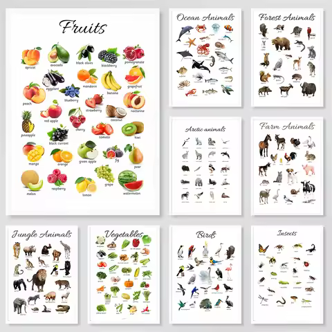 Fruits Vegetable Animals Poster Canvas Prints Montessori Educational Homeschooling Learning Poster K