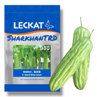 Paket 20-100g STALLION 980 Leckat Seed Biji Benih Peria Besar F1 Hybrid Bitter Gourd Seeds Ready Sto