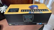 Tamashii Nations Box ARTlized Saint Seiya 聖鬥士 星矢