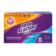 Dryer Sheet 80ct Odor Blaster Fresh Burst