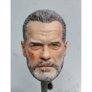 1/6 Scale Terminator Dark Fate Arnold Schwarzenegger painted Head Sculpt 12" Action Figure