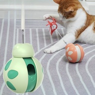 Pet Supplies: Tumbling Balance Car Beetle Cat Toy