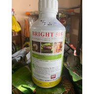 Bright 505 Racun Serangga 1L