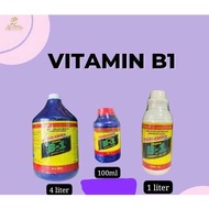 VITAMIN B1 BY D LOLA GARDEN [100ML, 1L, 4L]