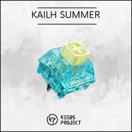 Kailh Summer Clicky Switches 5 Pin | Mechanical Keyboard Switch | Hot-Swap RGB Custom Keyboard