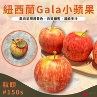 【舒果】南半球的蘋果產季開始囉!! 紐西蘭加拉Gala蘋果#150s (30粒/約3.4kg/箱)