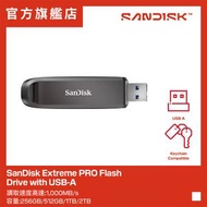 Extreme PRO 隨身碟 (支援 USB-A) 1TB (SDCZ820-1T00-P46) 手指
