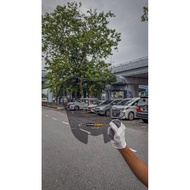 WINDSHIELD XMAX V3 YAMAHA XMAX V3 VISOR