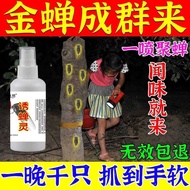 Cicada Catching Handy Tool Outdoor Catching Golden Cicadas Knowing Climbing Fork Monkey Dedicated Ci