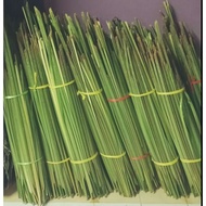 Daun palas ketupat / daun palas minyak