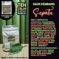 Dehydrated Dried Tea Bags Capsule Powder Flower Leaf Shoes Anemia Medicine for Vaginal Discharge Smo