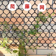 Ll Rose Climbing Vine Net Rose Season Net Flower Grid Flower Shelf Ball Orchid Utopia Flower Wall Gr