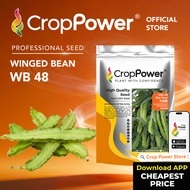 (500 GRAM) Biji Benih Kacang Botol Big Four 大四喜 WB48 CROP POWER Winged Bean seeds 四棱豆  WB 48