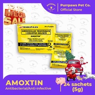 SAGUPAAN AMOXTIN Antibacterial (24 sachets)