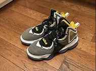 Lebron 19 Hardwood Classic US 10
