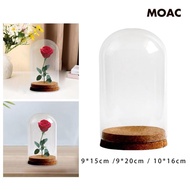 [ Preserved Cover Cloche Cover Clear Glass Display Case for Living Room