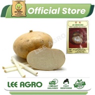 BIJI BENIH UBI SENGKUANG SAYUR-SAYURAN DAN BUAH-BUAHAN SEED SEEDS VEGETABLE FRUIT icama/jicama/yam b