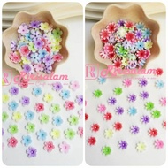 WHOLESALE MINI RAINBOW PETALS | Pound Pound