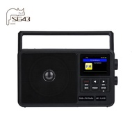 Internet Digital Radio Portable FM Radio Dual Power Modes Pocket Retro Radio EU PLUG
