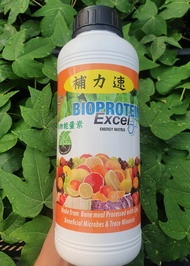 【約翰南農】補力速 左旋胺基酸 快速吸收 肉骨粉 蛋白質 植物 多肉 玫瑰 樹 增產 抗寒 改善葉面黃化 提升開花結果率