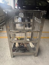 Stainless Steel Bird Cage 不鏽鋼鳥籠
