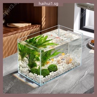 Glass Fish Tank Ecological Landscape Fish Tank Set Aquarium hencangtian.sg