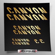 Sticker Set Compatible with Frame Canyon MTB Mountain Bike and Helmet | Decals Sticker for Bicycle L