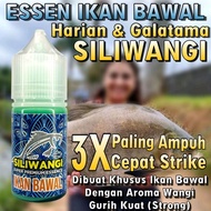 Pomfret Fish Essence Original Siliwangi Essence Premium Essence Fish Essence Best Essence Material G