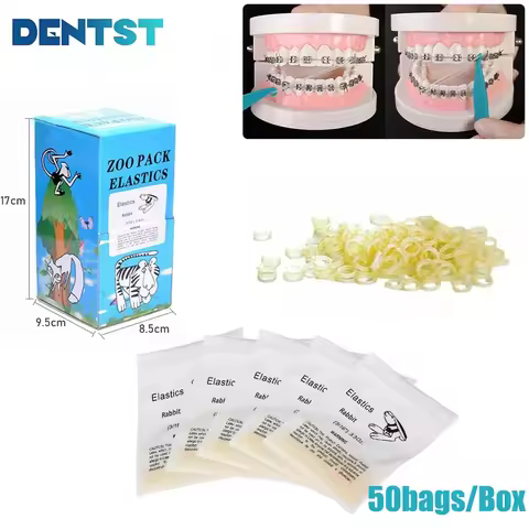 High Quality Zoo Park Rubber Band Orthodontic Elastics Dental Elastic Band 5 Sizes Dental Material 1