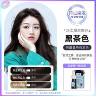 Natural Black Tea Hair Dye Deep Brown Easy Foam Natural Hair Coloring Agent Grape Purple Combs Plant