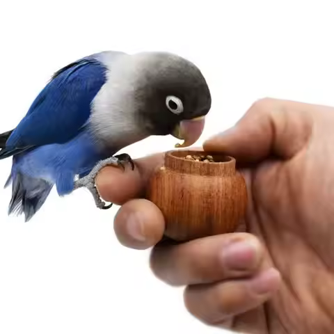 L12 Anti Bite Natural Wood Small Bird Food Bowl Handheld Lightweight Design for Budgie Lovebird Cock
