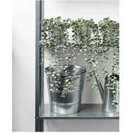 Hanging Plants Vines Potted Wall Decoration
