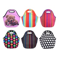Lunch Tote Bag Insulated Waterproof Lunch Box Bag Portable Picnic Lunch Box Bags for Women Kids Food