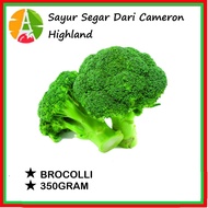 BROCOLLI - SAYUR SEGAR DARI CAMERON HIGHLAND - FRESH FROM FARM - NEXT DAY DELIVERY