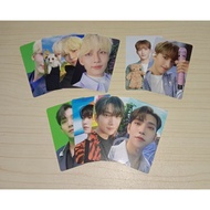 PHOTOCARD SEVENTEEN DICON MINI 102 JEONGHAN JOSHUA DOKYEOM DK TEDDY DOLL