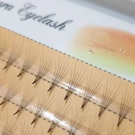 Nesura EYELASH RUSSIAN Branch 6D EYELASH EXTENSION