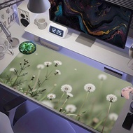 Fresh pastel green dandelion meadow XXL desk pad, soft focus blurred bokeh, white dandelion seeds fl
