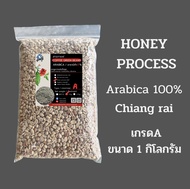 เมล็ดกาแฟดิบ/เมล็ดกาแฟสาร Honey process อาราบิก้าแท้100% เกรดA จากดอยก้าจออาข่าห้วยแม่เลี่ยม ห้วยชมภ