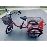 Brand new Wheels EW-29 E-bike 3 Wheel Bike