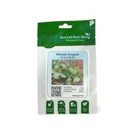 Ban Lee Huat Wasabi Arugula 1 grams ~ 3900 seeds